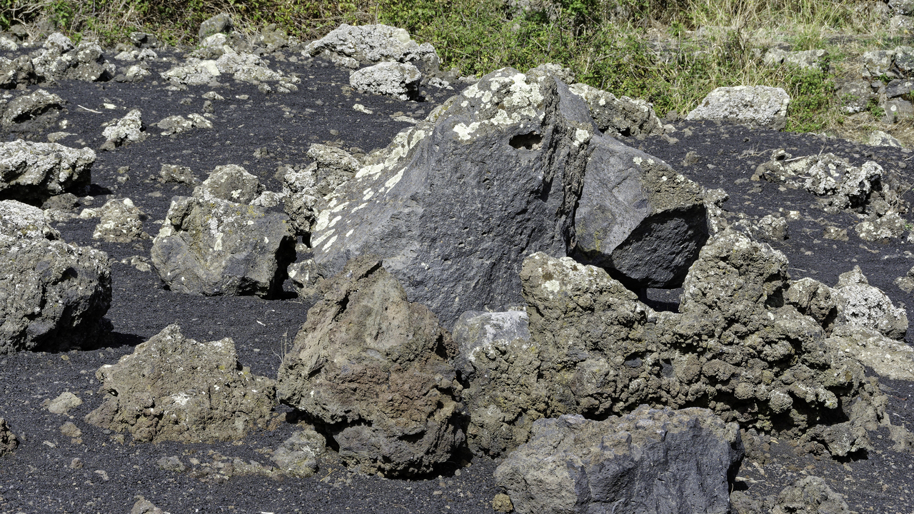 20231023 123028•Zafferana Etnea•Sicily•Italy